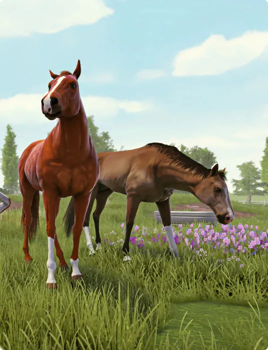 equine-2